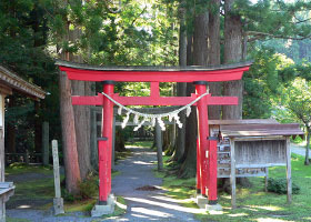 Torii