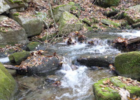 The clear stream in front of the inner sanctuary