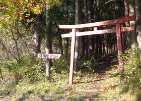 Torii