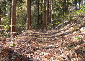 The road to the five-story pagoda